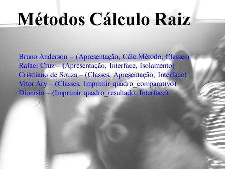 Métodos Cálculo Raiz Bruno Anderson – (Apresentação, Cálc.Método, Classes) Rafael Cruz – (Apresentação, Interface, Isolamento) Cristtiano de Souza – (Classes,