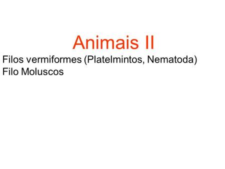 Animais II Filos vermiformes (Platelmintos, Nematoda) Filo Moluscos.