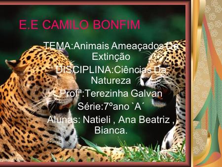 E.E CAMILO BONFIM TEMA:Animais Ameaçados De Extinção
