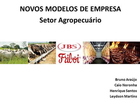 NOVOS MODELOS DE EMPRESA Setor Agropecuário