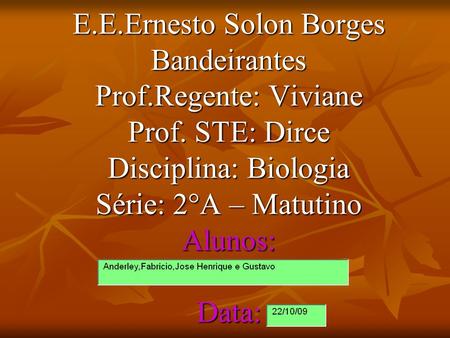 E. E. Ernesto Solon Borges Bandeirantes Prof. Regente: Viviane Prof
