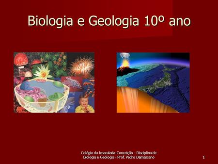 Colégio da Imaculada Conceição - Disciplina de Biologia e Geologia - Prof. Pedro Damasceno 1 Biologia e Geologia 10º ano.