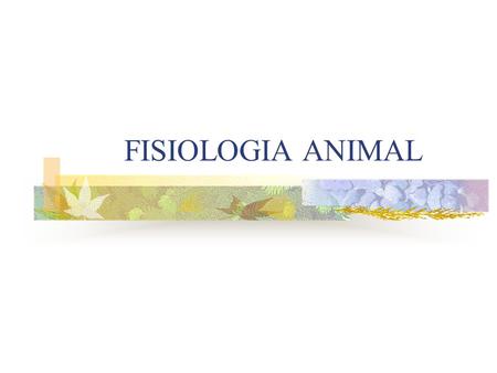 FISIOLOGIA ANIMAL.