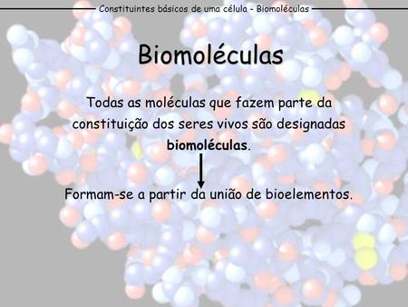 Constituintes básicos de uma célula - Biomoléculas