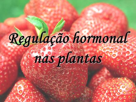 Regulação hormonal nas plantas