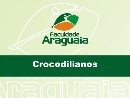 Crocodilianos.