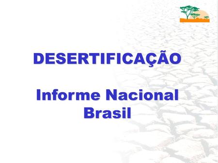 DESERTIFICAÇÃO Informe Nacional Brasil