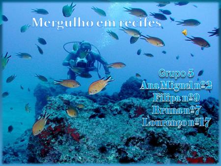 Mergulho em recifes Grupo 5 Ana Miguel nº2 Filipa nº9 Bruna nº7