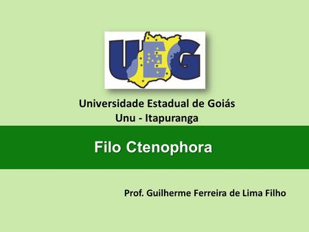 Universidade Estadual de Goiás Prof. Guilherme Ferreira de Lima Filho