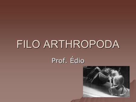 FILO ARTHROPODA Prof. Édio.