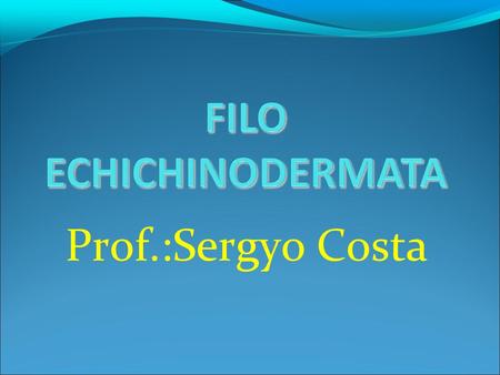 Prof.:Sergyo Costa.