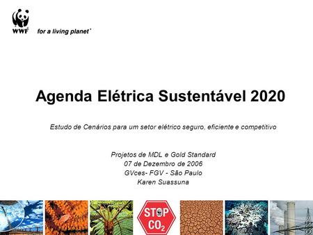 Agenda Elétrica Sustentável 2020