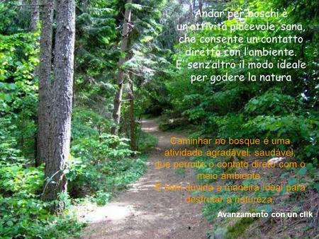 Andar per boschi è unattività piacevole, sana, che consente un contatto diretto con lambiente. E senzaltro il modo ideale per godere la natura Avanzamento.