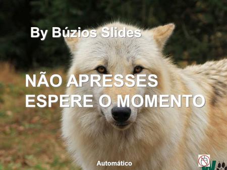 By Búzios Slides NÃO APRESSES ESPERE O MOMENTO Automático.