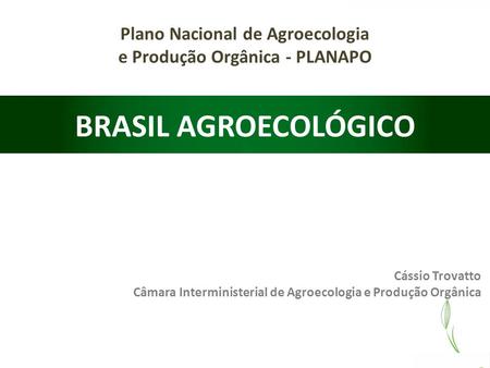 Plano Nacional de Agroecologia e Produção Orgânica - PLANAPO BRASIL AGROECOLÓGICO Cássio Trovatto Câmara Interministerial de Agroecologia e Produção Orgânica.