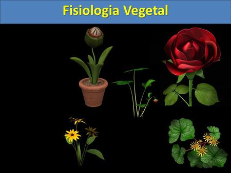 Fisiologia Vegetal. 1)Introdução A fisiologia vegetal é a parte da biologia que estuda o funcionamento do organismo das plantas, que inclui: a nutrição.