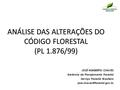 ANÁLISE DAS ALTERAÇÕES DO CÓDIGO FLORESTAL (PL 1.876/99) JOSÉ HUMBERTO CHAVES Gerência de Planejamento Florestal Serviço Florestal Brasileiro