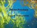 Reino Proctista Algas e Protozoários. “O REINO PROTOCTISTA (PROTISTA)” Algas Protoctistas unicelulares ou pluricelulares Micro ou macroscópicas Habitat: