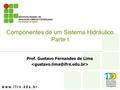 Prof. Gustavo Fernandes de Lima Componentes de um Sistema Hidráulico Parte I.
