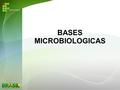 BASES MICROBIOLOGICAS