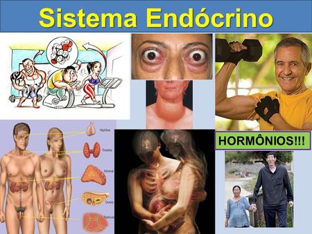 Sistema Endócrino HORMÔNIOS!!!.