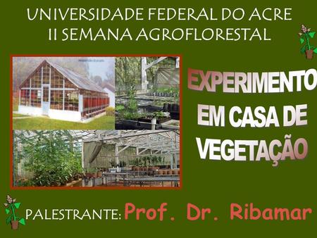 UNIVERSIDADE FEDERAL DO ACRE II SEMANA AGROFLORESTAL PALESTRANTE: Prof. Dr. Ribamar Silva.