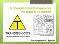 A polêmica dos transgênicos no Brasil e no mundo Prof. Reginaldo C. Agostini.