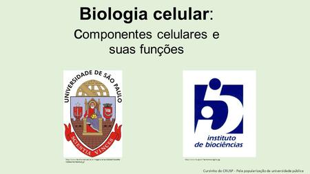 Biologia celular: c omponentes celulares e suas funções Cursinho do CRUSP - Pela popularização da universidade pública