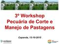 3º Workshop Pecuária de Corte e Manejo de Pastagens Capanda, 13-10-2015.
