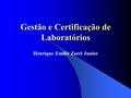 Gestão e Certificação de Laboratórios Henrique Emilio Zorel Junior.