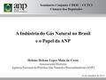 A Indústria do Gás Natural no Brasil e o Papel da ANP