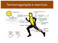 Termorregulação e exercício