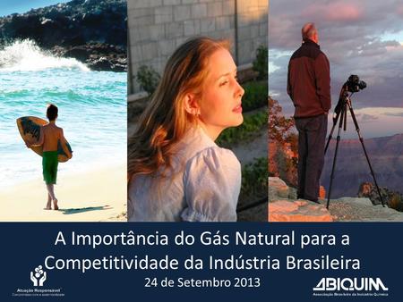 A Importância do Gás Natural para a Competitividade da Indústria Brasileira 24 de Setembro 2013.