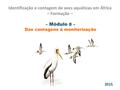 – Módulo 8 – Das contagens à monitorização Identificação e contagem de aves aquáticas em África – Formação – 1 2015.
