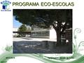 PROGRAMA ECO-ESCOLAS 2014-2015 Agrupamento Damião de Goes.