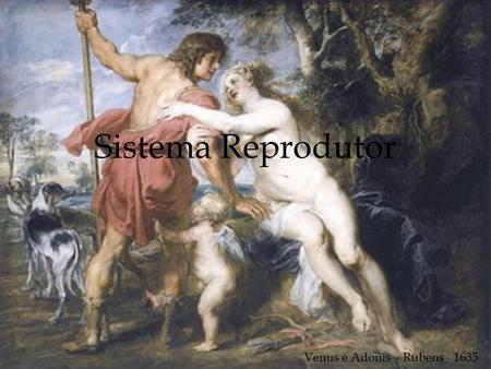 Sistema Reprodutor Venus e Adonis – Rubens - 1635.