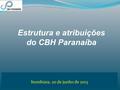 Itumbiara, 20 de junho de 2013 Estrutura e atribuições do CBH Paranaíba.