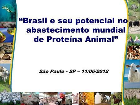 “Brasil e seu potencial no abastecimento mundial de Proteína Animal” São Paulo - SP – 11/06/2012.