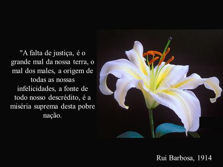 Rui Barbosa, 1914 A falta de justiça, é o grande mal da nossa terra, o mal dos males, a origem de todas as nossas infelicidades, a fonte de todo nosso.