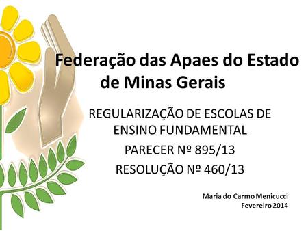 Federação das Apaes do Estado de Minas Gerais REGULARIZAÇÃO DE ESCOLAS DE ENSINO FUNDAMENTAL PARECER Nº 895/13 RESOLUÇÃO Nº 460/13 Maria do Carmo Menicucci.