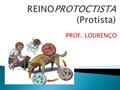 REINOPROTOCTISTA (Protista)