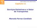 Serviços Emissivos e o Setor de Transportes Marcela Ferraz Candioto