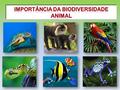 Importância da biodiversidade animal