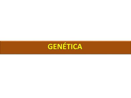 GENÉTICA. Conceitos gerais Gene: fragmento de DNA que pode ser transcrito na síntese de proteínas.