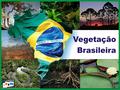 Distribuição da Vegetação Brasileira