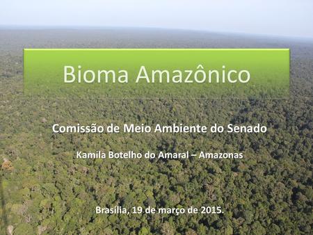 Bioma Amazônico Comissão de Meio Ambiente do Senado Kamila Botelho do Amaral – Amazonas Brasilia, 19 de março de 2015.