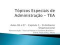 Tópicos Especiais de Administração - TEA