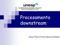 Procesamento downstream