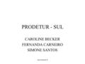 Apresentação II PRODETUR - SUL CAROLINE BECKER FERNANDA CARNEIRO SIMONE SANTOS.