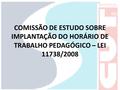 COMISSÃO DE ESTUDO SOBRE IMPLANTAÇÃO DO HORÁRIO DE TRABALHO PEDAGÓGICO – LEI 11738/2008.